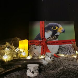 Cadeaubox "VIP" **