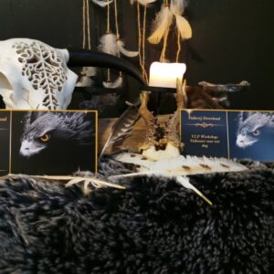 Boite Cadeau Cheque Cadeau Falconry Neverland