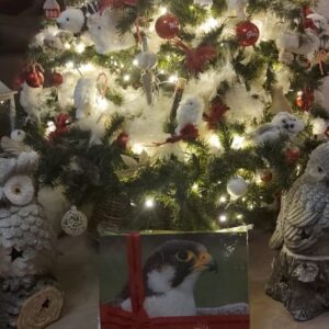 Cadeaubox « Kids »